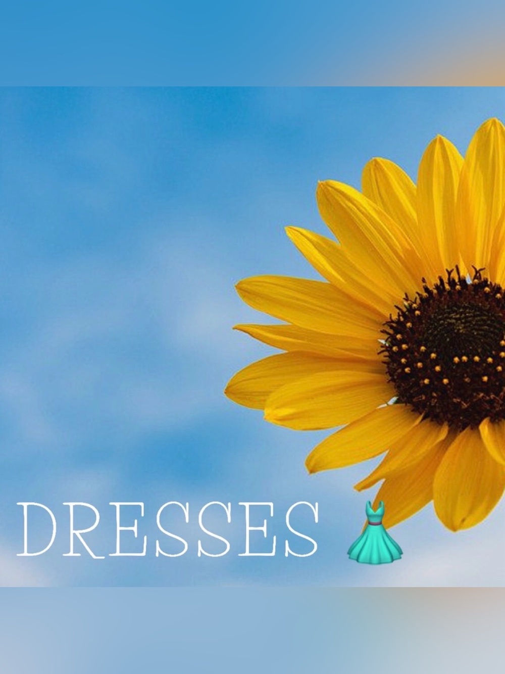 Dresses